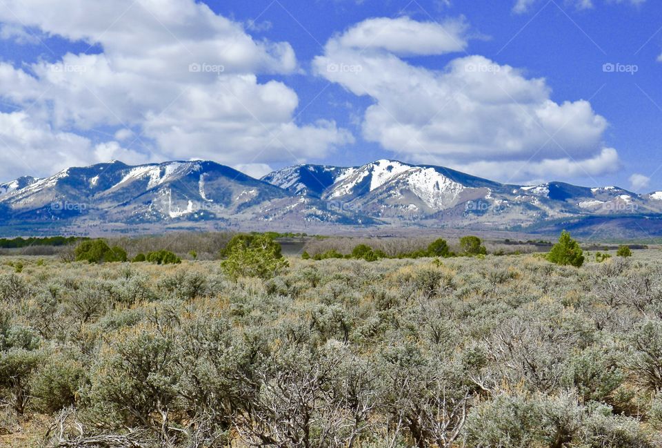 White mountains and field 
