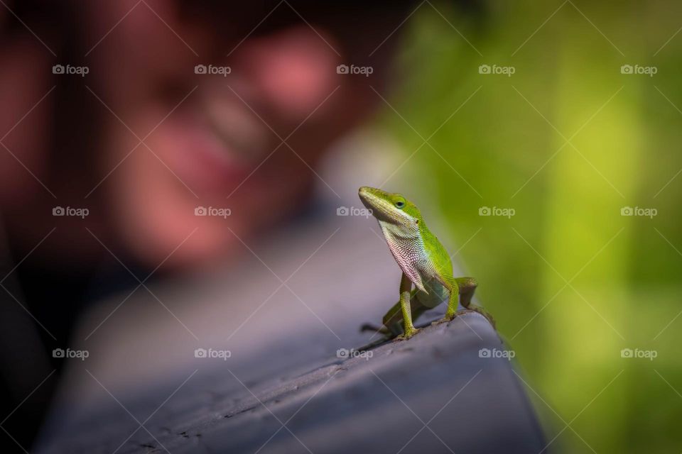 It’s sooo exciting when little critters take the time to stop and pose for your enjoyment. 