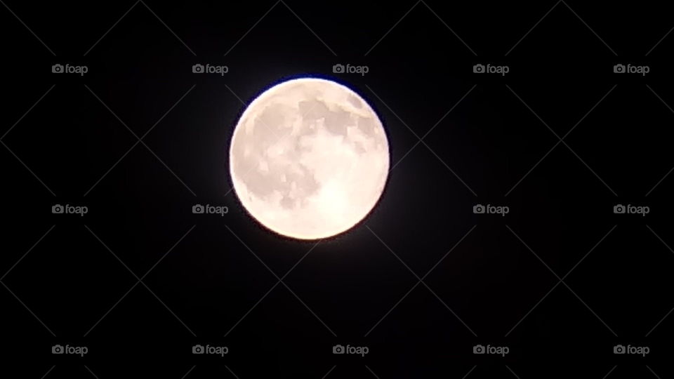 my selfone vs moon