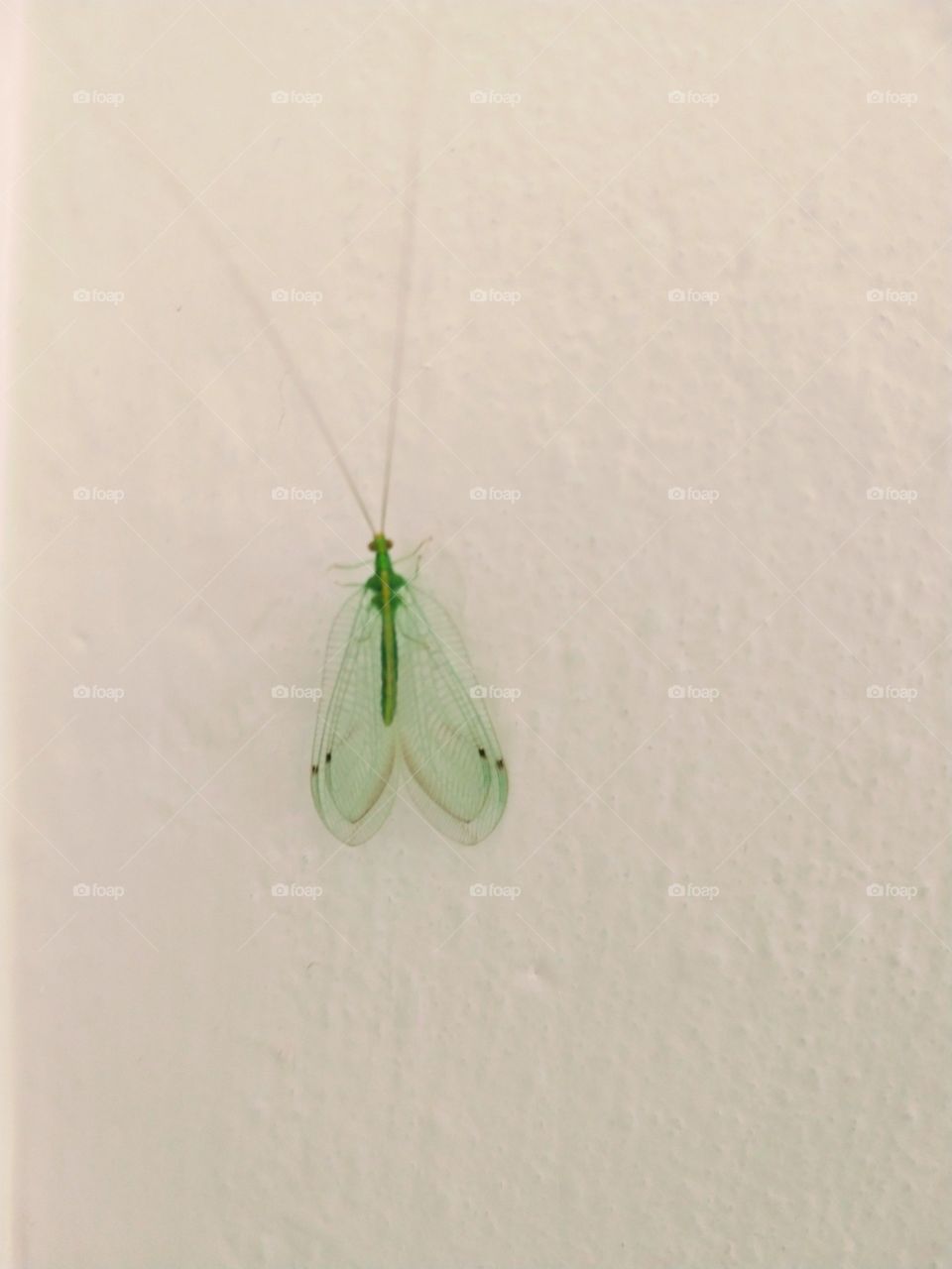 A natureza e perfeita .