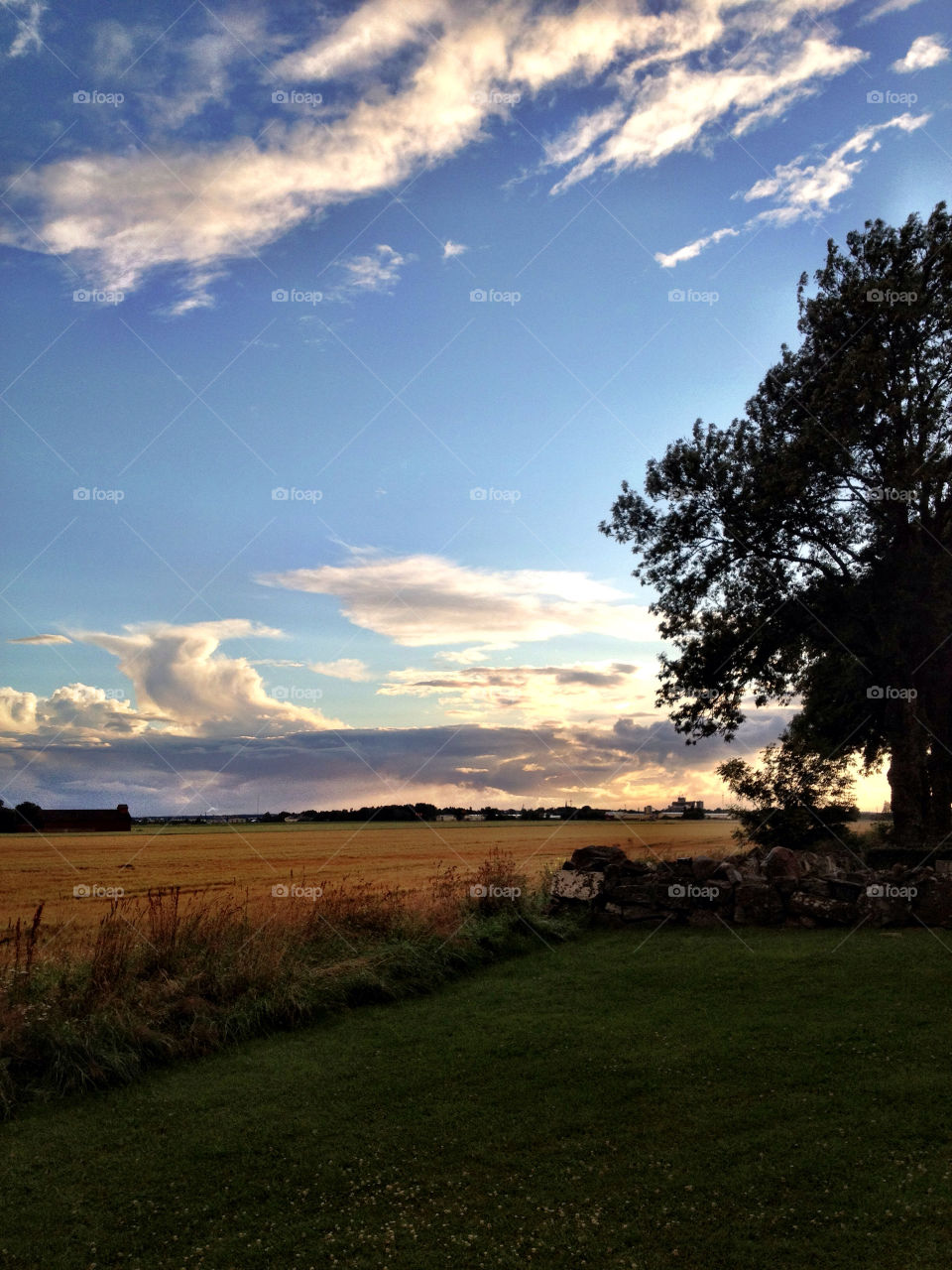 vara sweden field garden country by morwell
