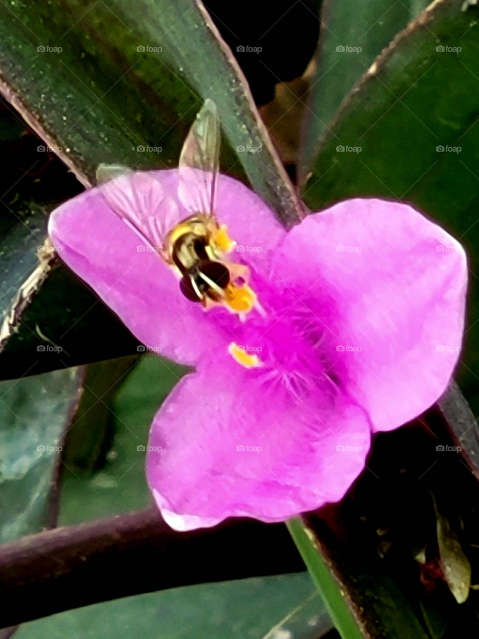 Take a little, leave a little.