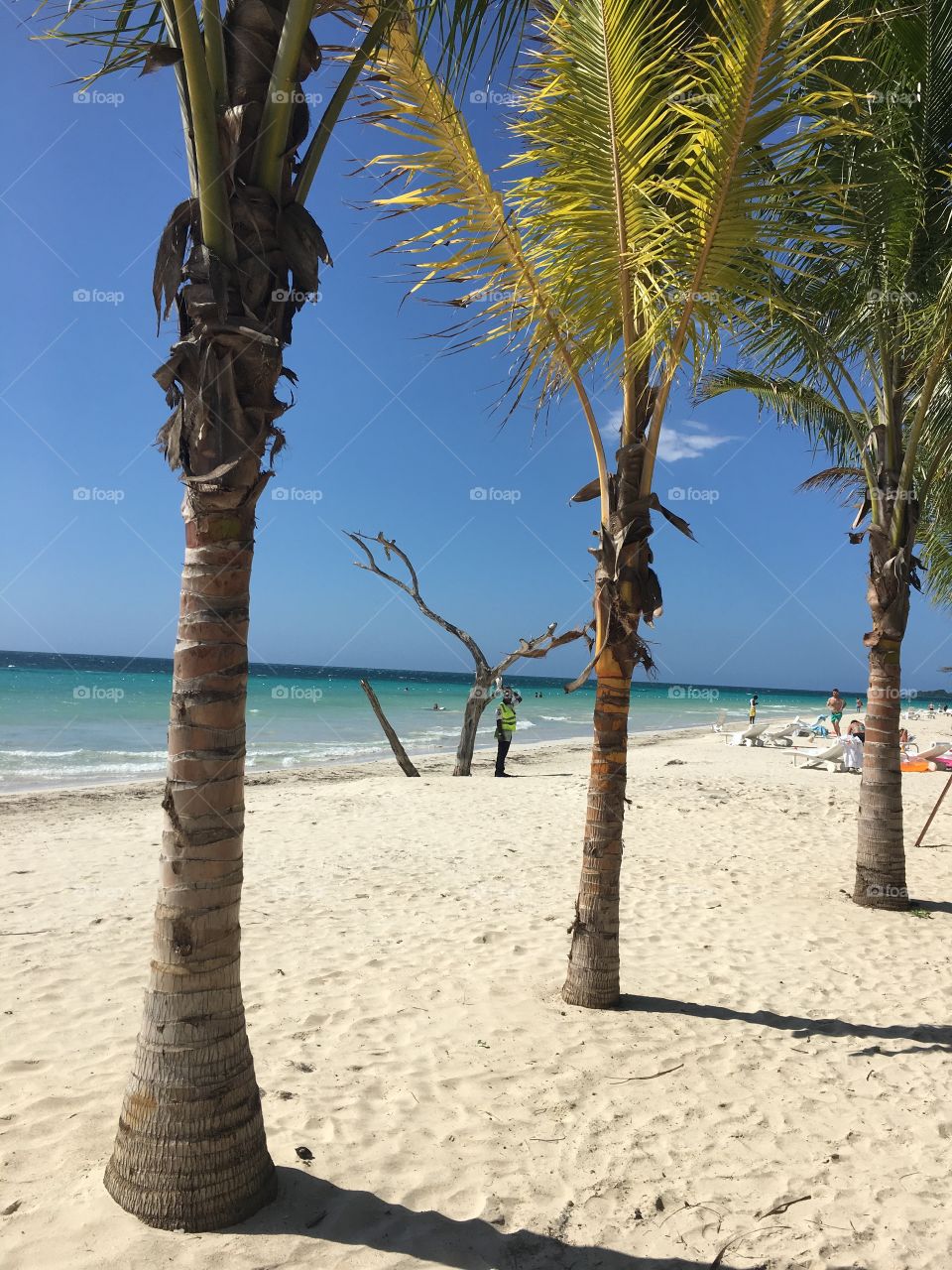 Is the Sea blue enough?👣😮 #view #michaltoloczkopodróżnik #photooftheday #photography #photo #photographer #photoshoot #travel #travelbug #leciodkryjswiat #travelblog #traveling #travelphotography #traveler #trip #jamaica #inspiration #discover #discoveryourworld #negril #life #carabbean #blogger #blog #world #foap #lifestyle #instagram #awesomeday #paradise @national.geographic @magazynpodroze @jamaica @pro_jamaica @viewjamaica @jamaica_west @jamaicaobserver