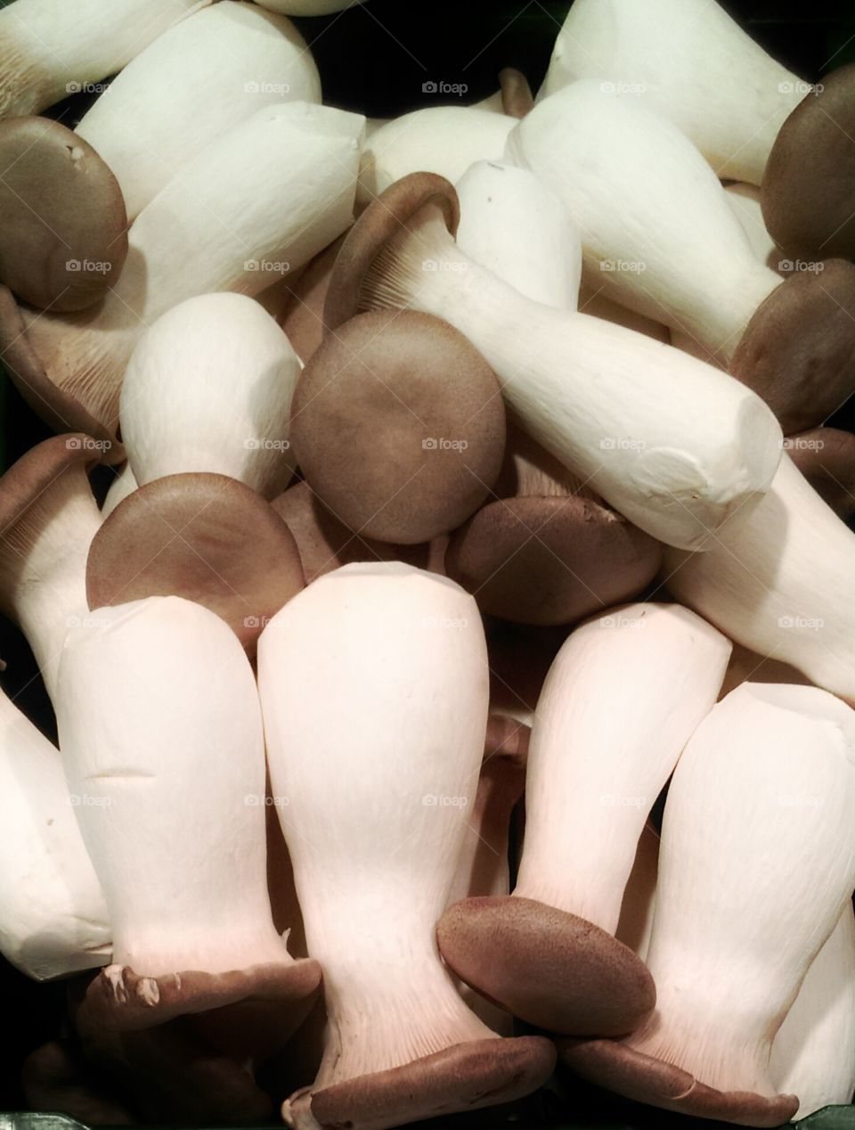 mushrooms