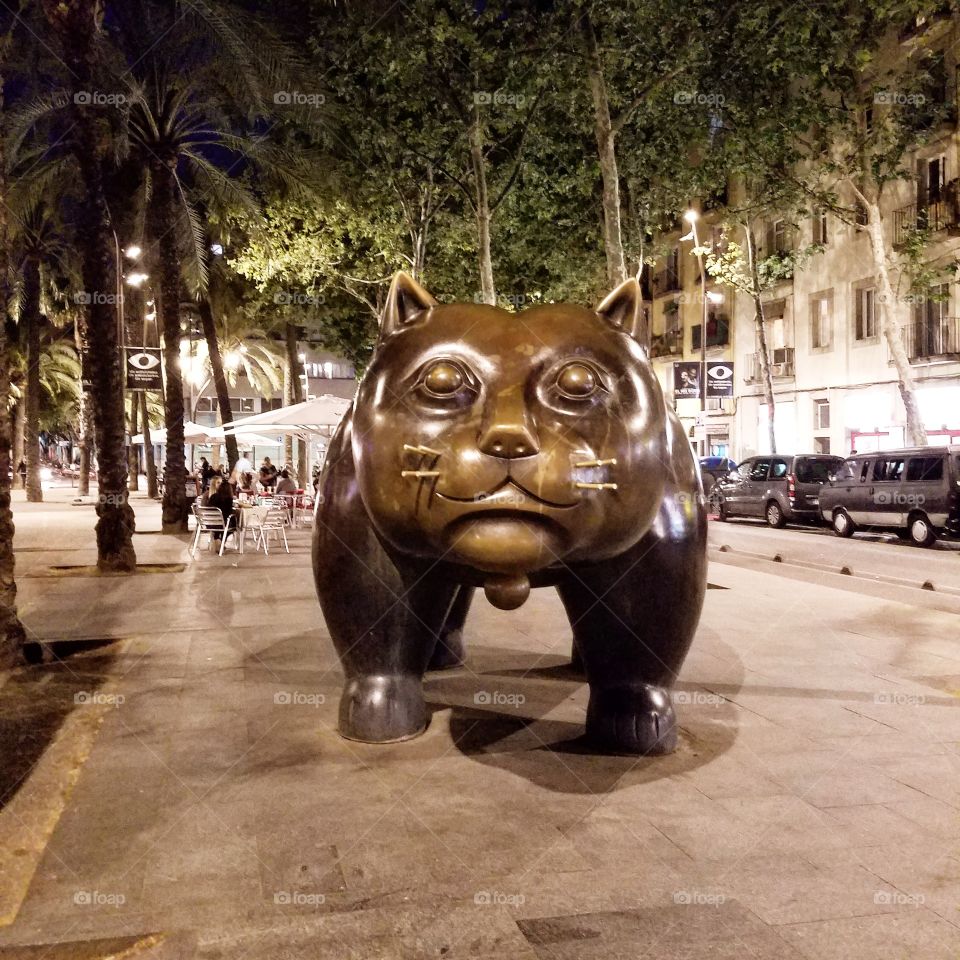 El Gato Del Raval (The Raval Cat). Barcelona