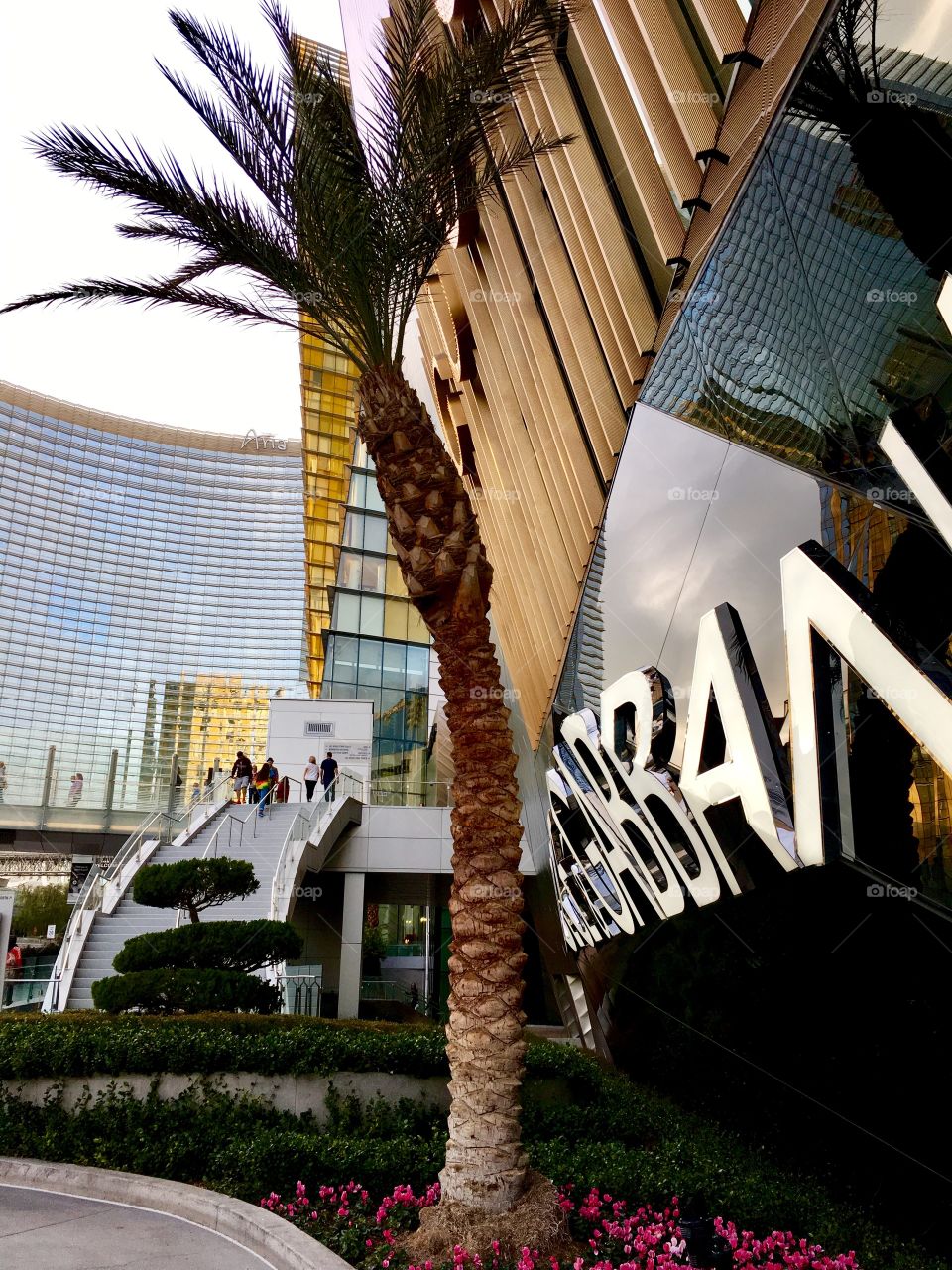 Palm tree and shopping 