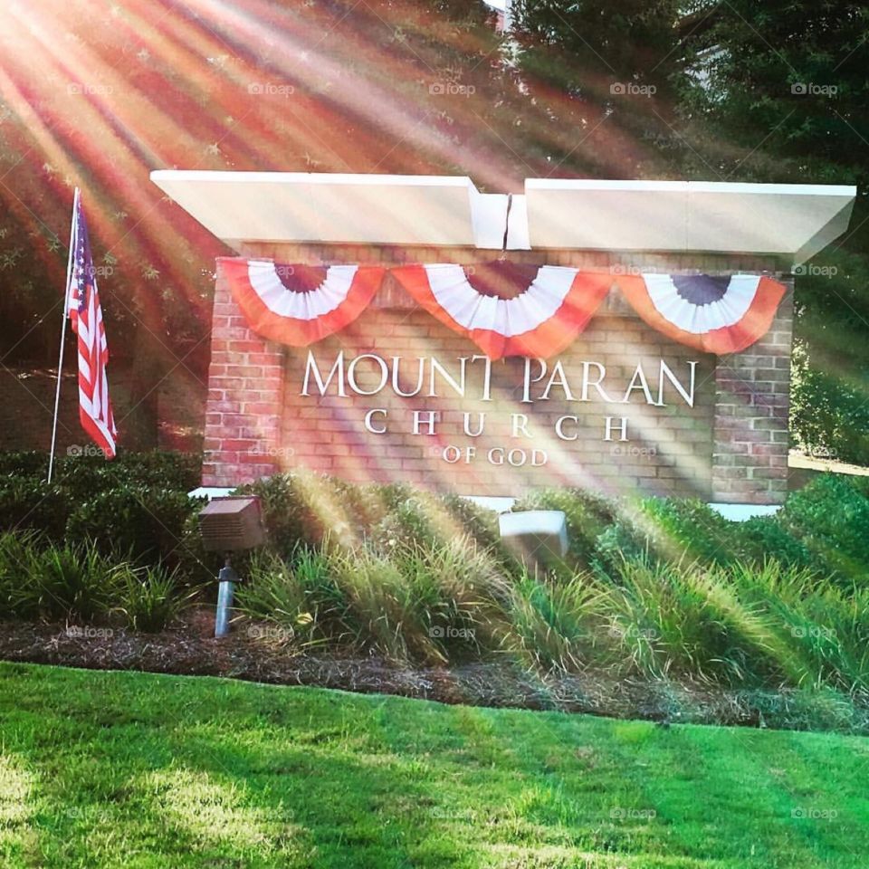 Wood, Grass, Park, Nature, Outdoors