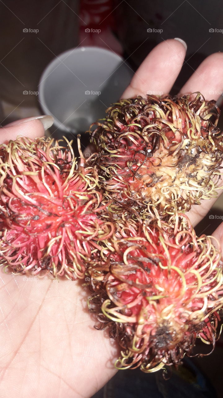 Lychee contains good amount of antioxidant Vitamin C, Vitamin B-complex and phytonutrient flavonoids. Lychee is a rich source of nutrient that is required for the production of blood. It provides manganese, magnesium, copper, iron and folate.