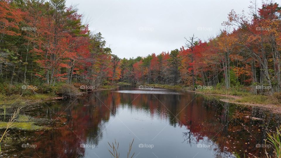 Reflecting Pond