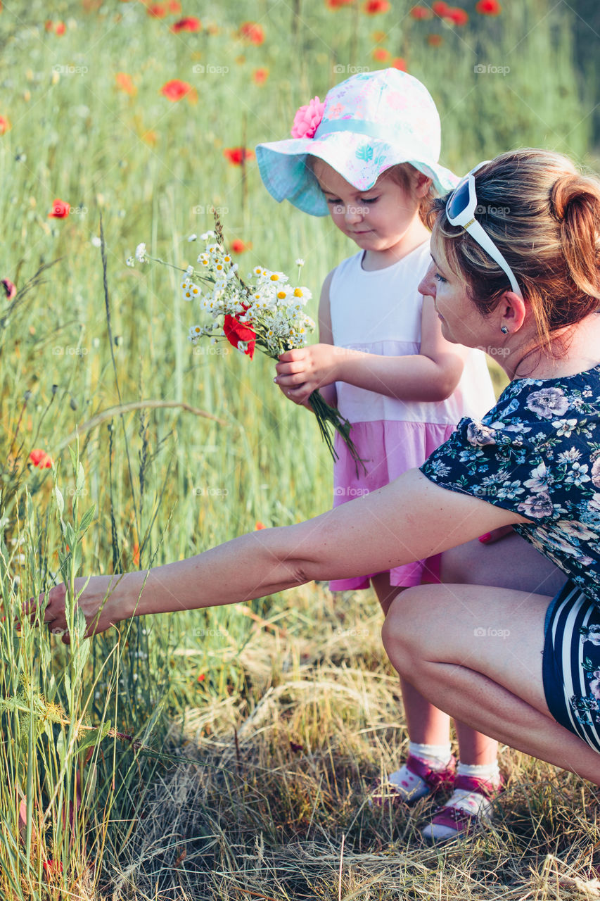 Mother and her little daughter in the field of wild flowers. Little girl picking the spring flowers for her mom for Mother's Day in the meadow. Girl handing the flowers to her mom. Nature scene, family time