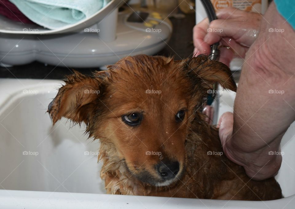 Bath time 