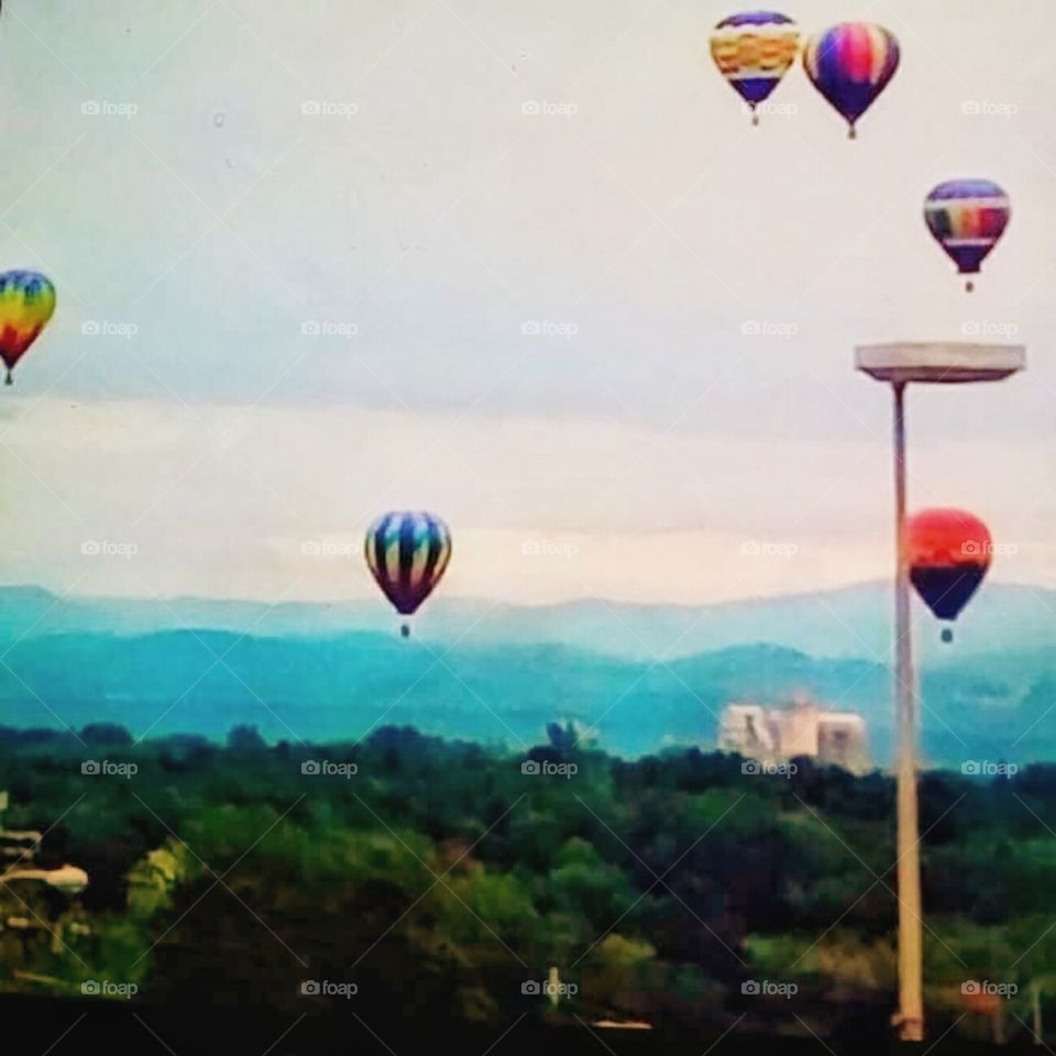 A Hot-Air-Balloon Festival!