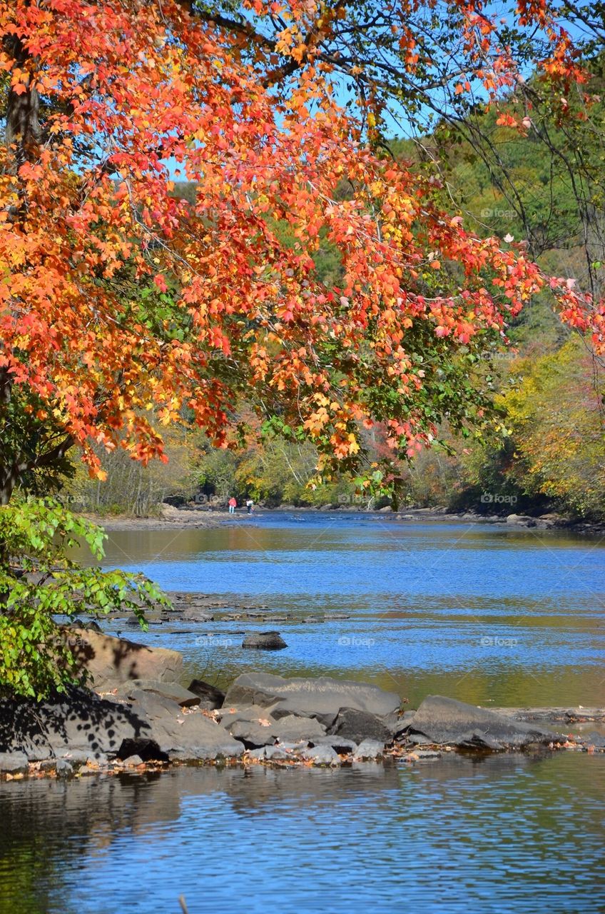 fall stream