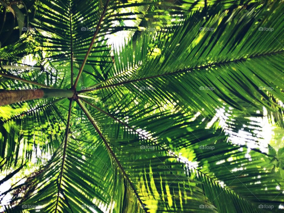 O meu céu preferido.