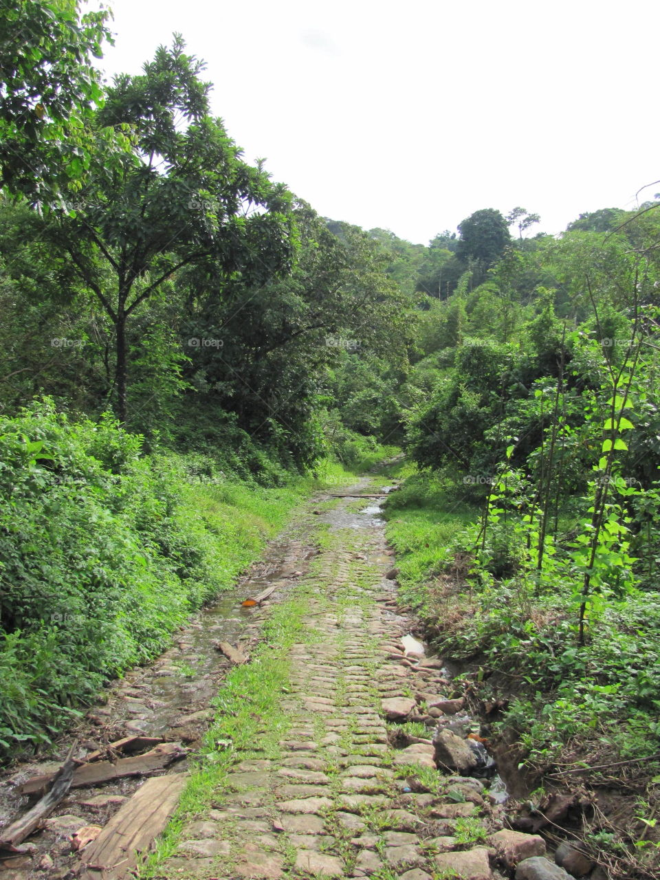 Aventuras en Guatemala