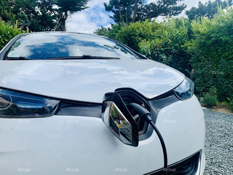 Be authentic : Go Green ✅