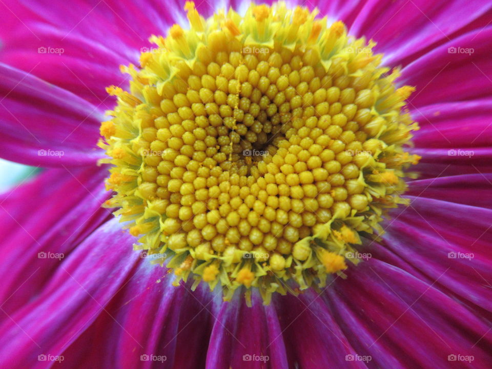 full moon in June 2020