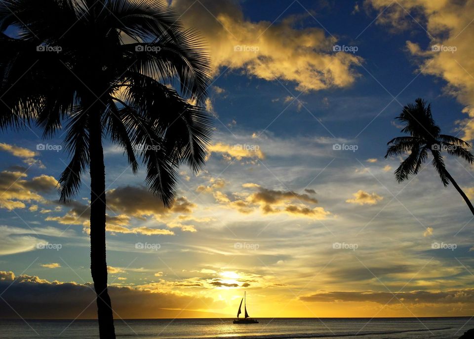 Yacht sailing on sea during sunset