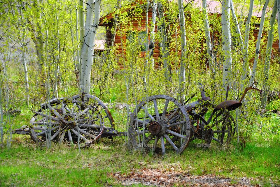 This Wagon Has Seen Better Days