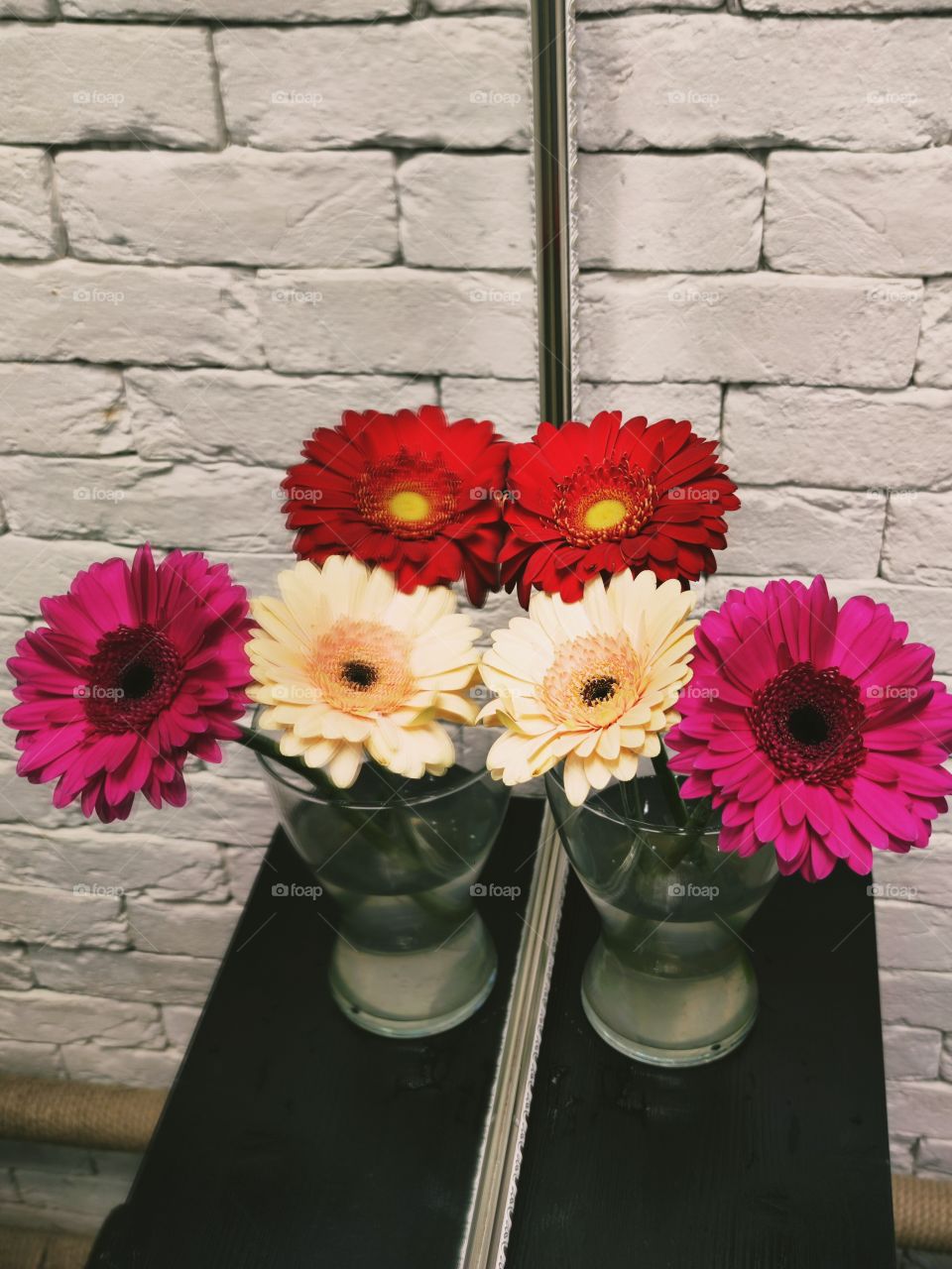 Three gerberas: yellow, pink and red in a vase that stands on a black mirror shelf. Reflection of flowers in a vase in a mirror. Contrast of colors