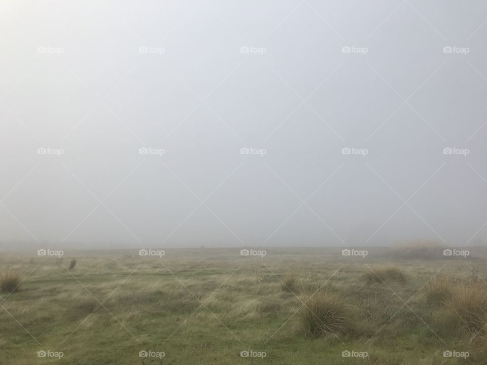 A foggy and misty morning with gray skies and green grass in the valley on a cool winters day in America , USA 
