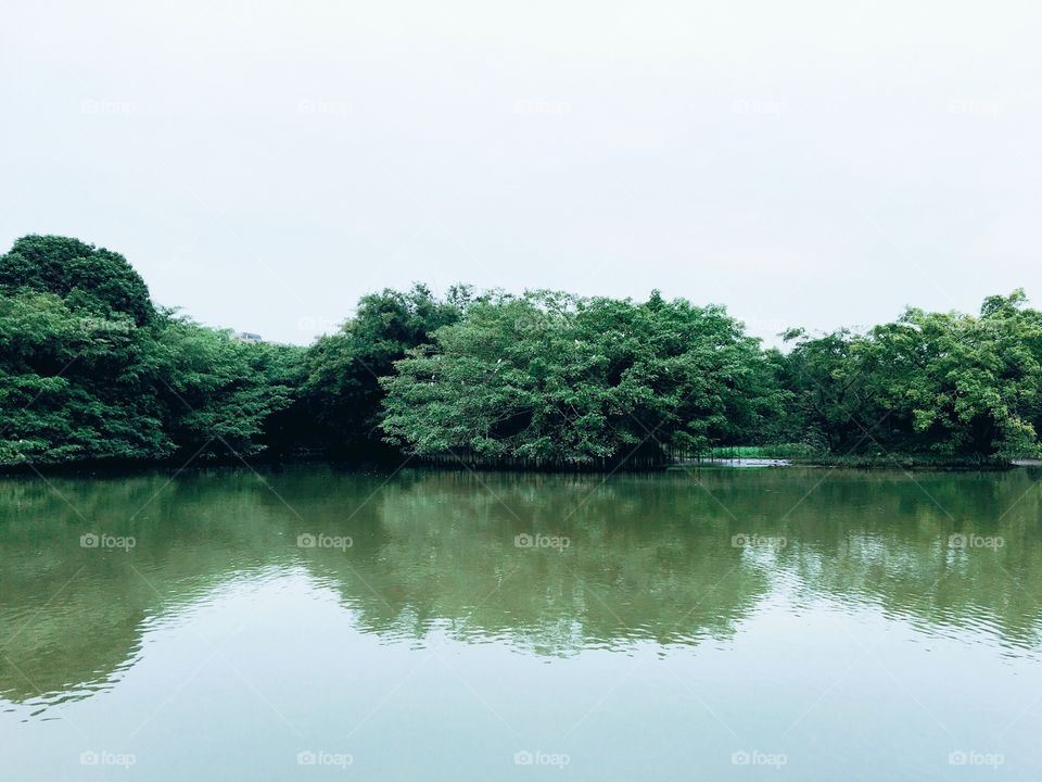 Incredible reflection 