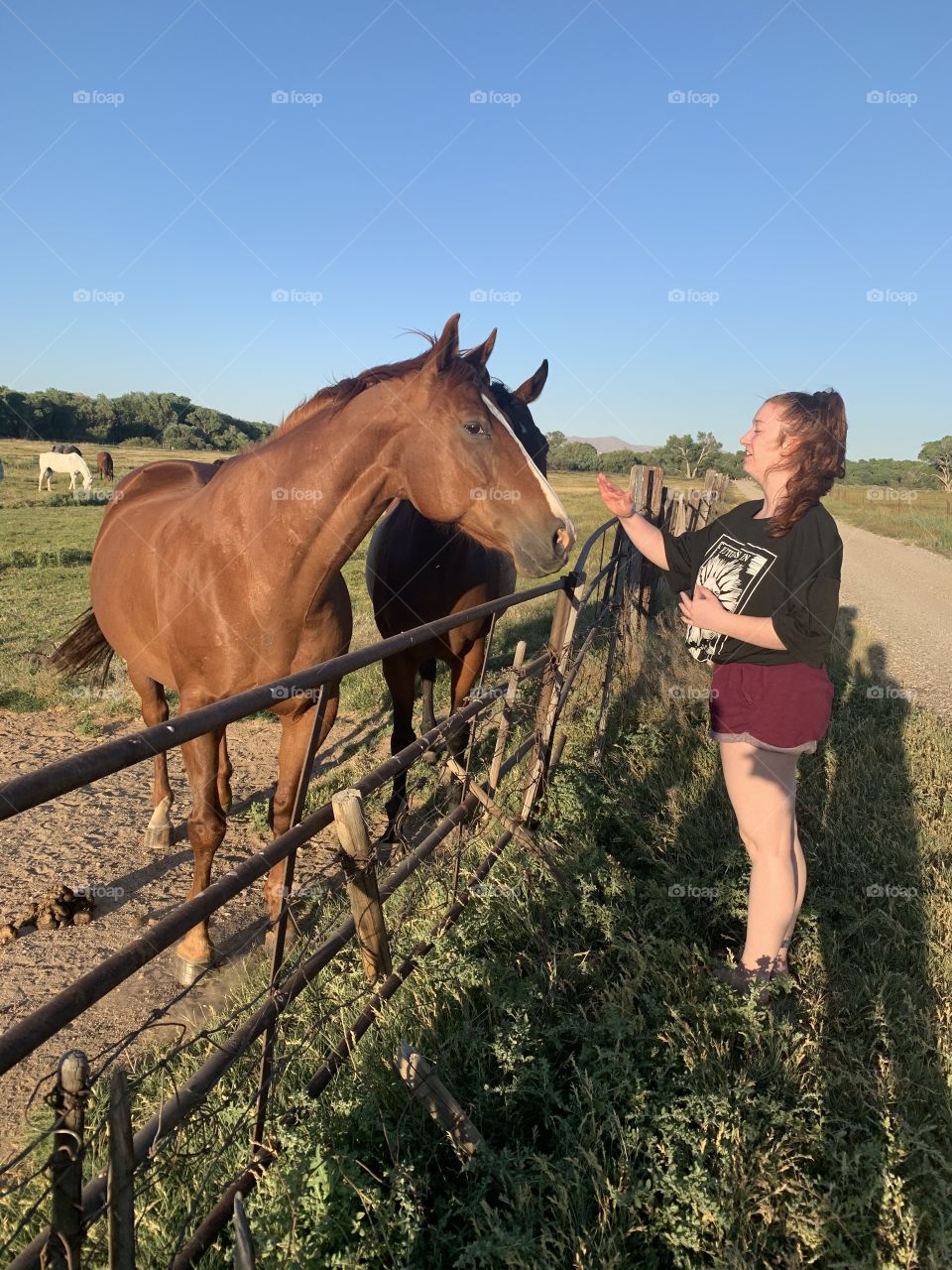 Girl feeding carrots to horses