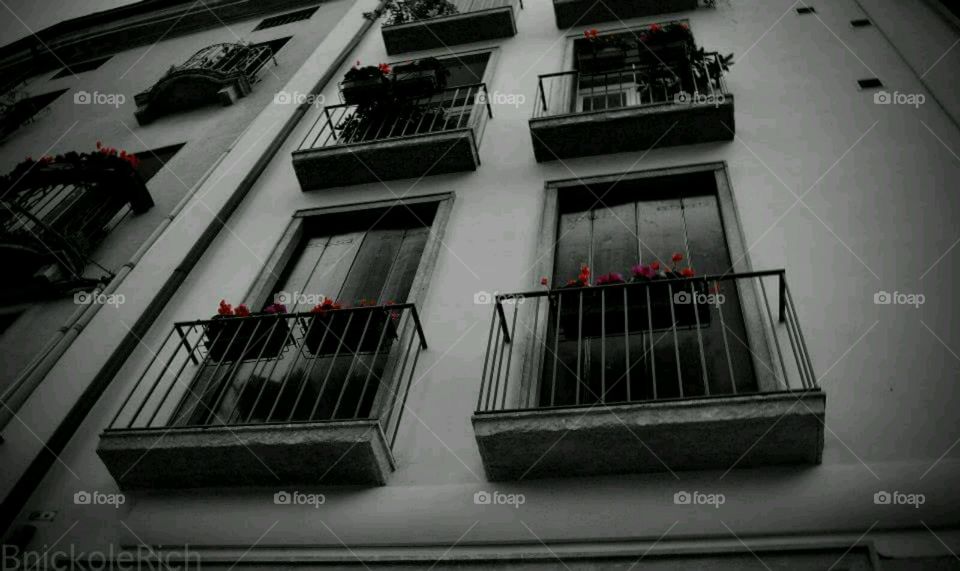 Italian balconies . flowers on the balconies in italy 
