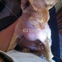 city square apple new by feche_103