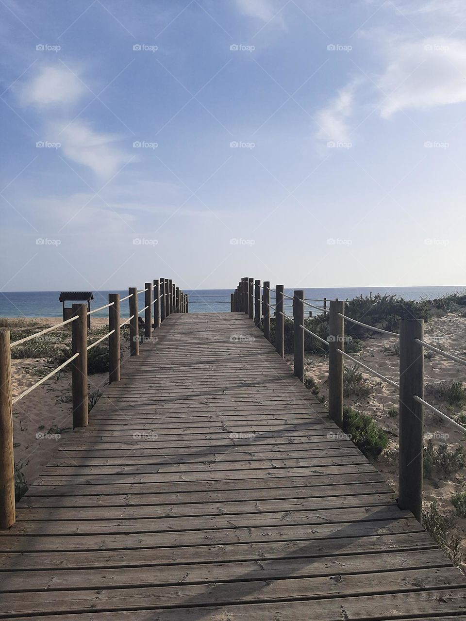 Nature's magic touch