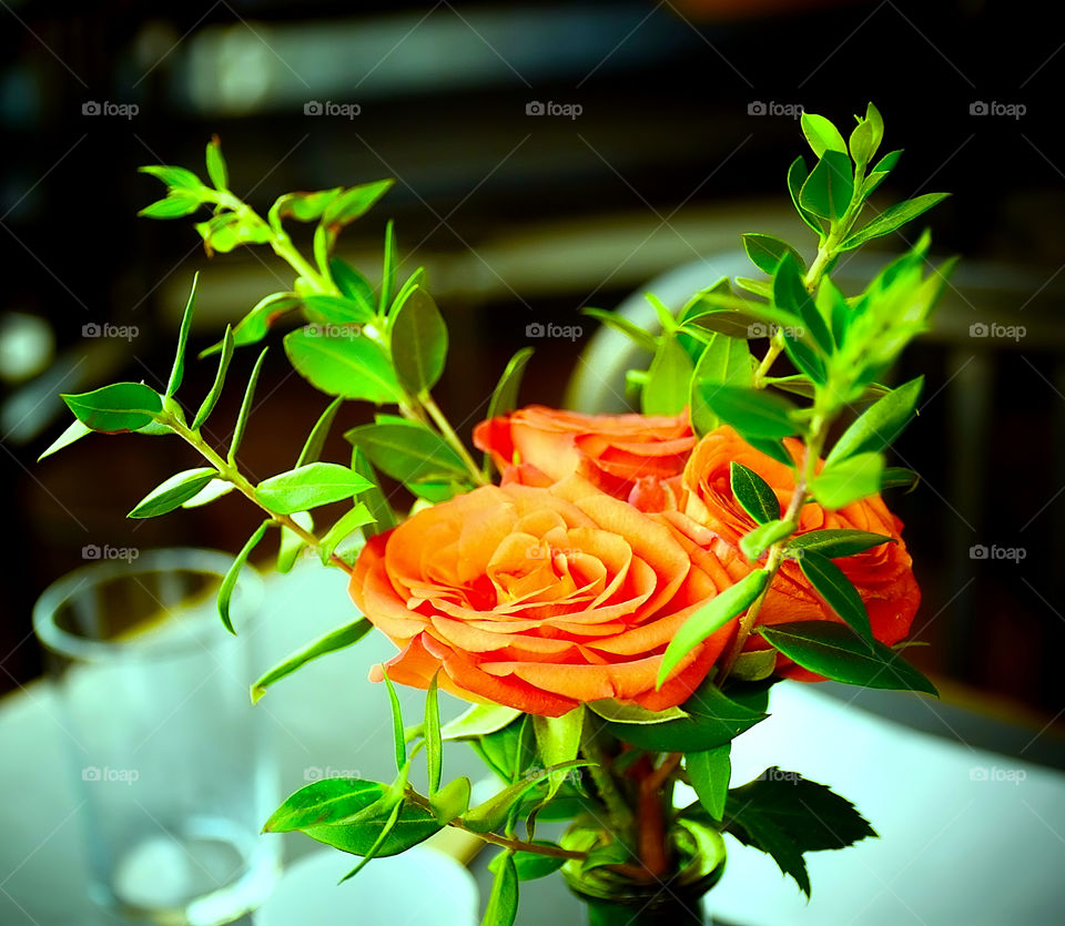 Vase of flowers and drinking glass