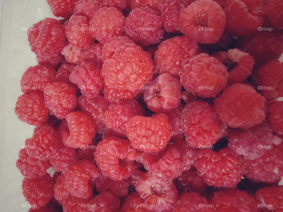 Fromboise berry hand happy view bio fresh yummy healthy Red raspberry nature eco vegan juicy fruits