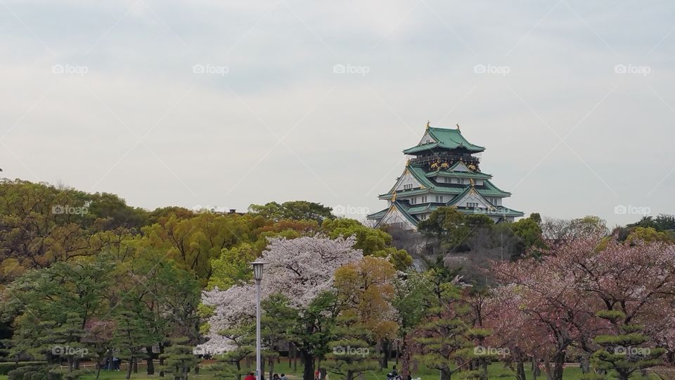 Osaka Castle