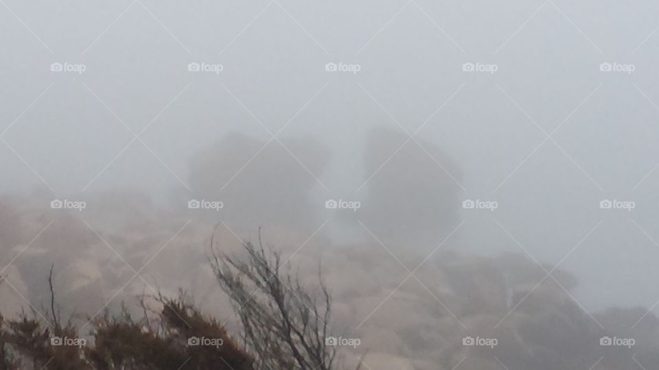 Fog, Mist, Landscape, Winter, Snow