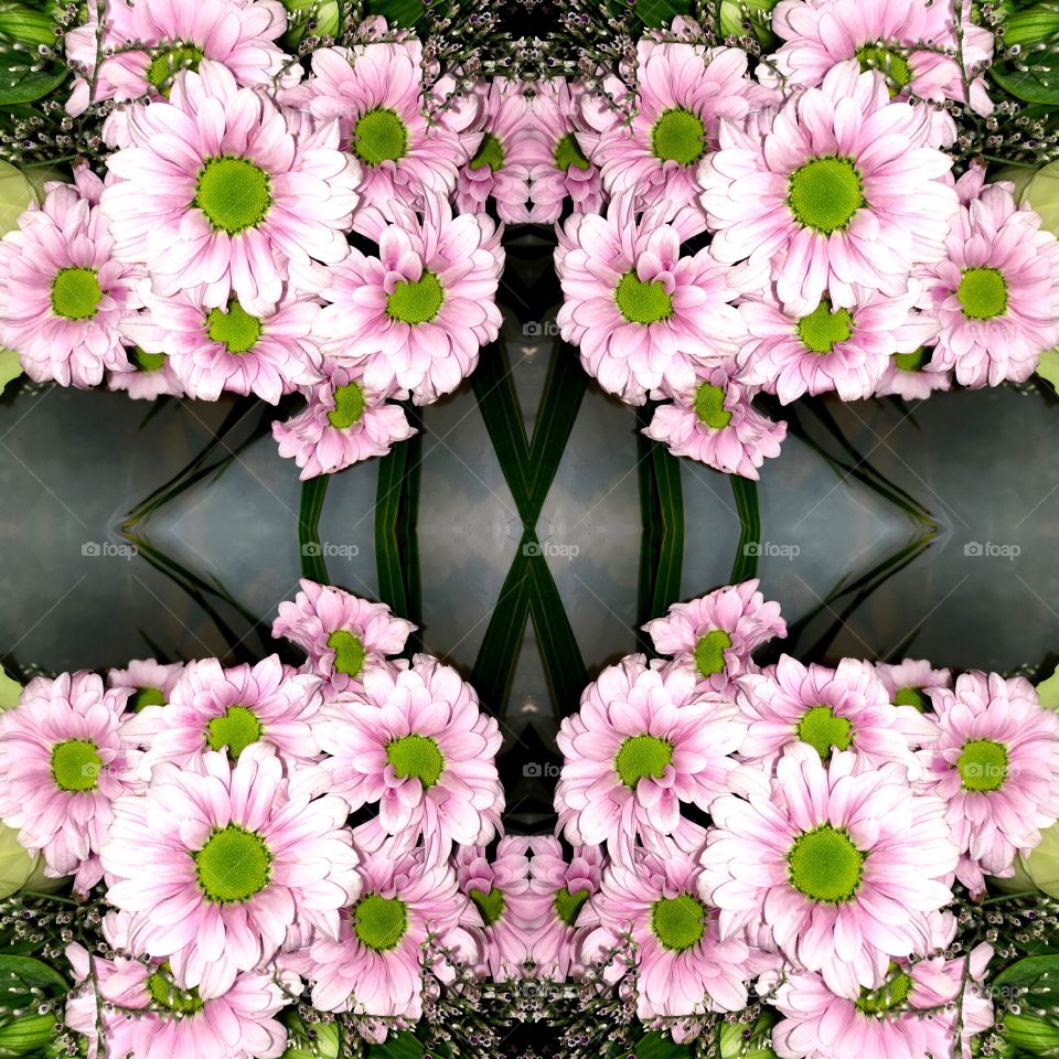 Pink and green flowers 
Reflection 
