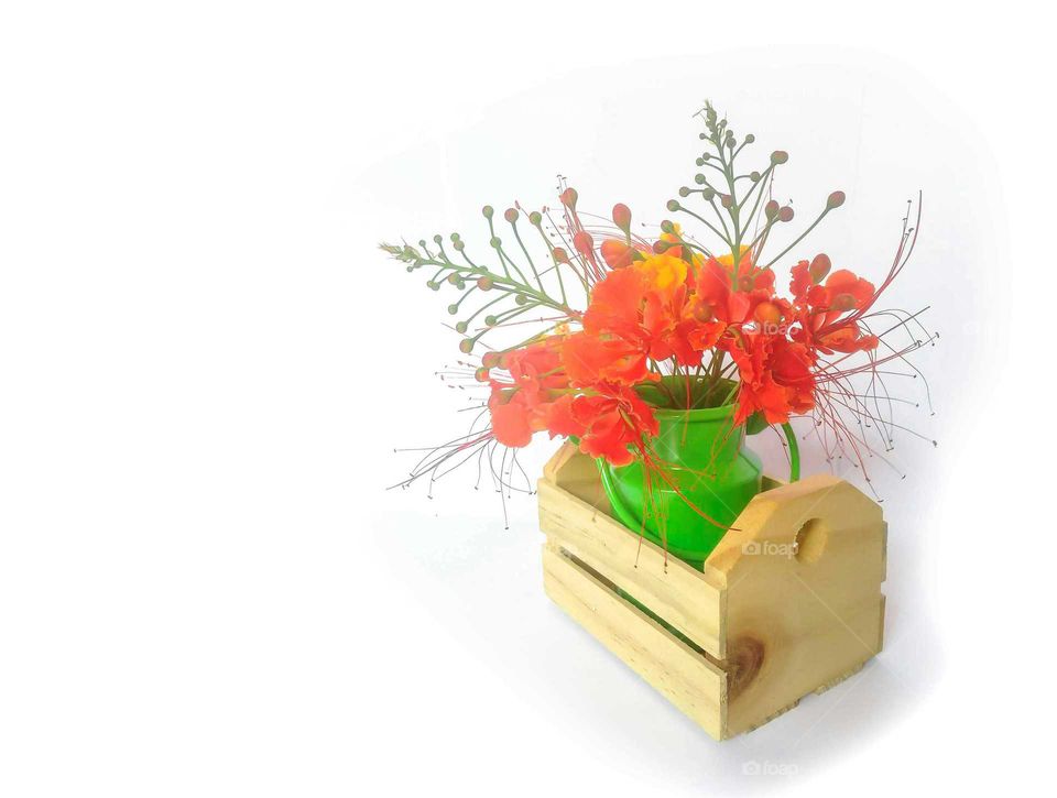 Picturesque spring bouquet of Poinciana.  Rustic decoration. White background. Space for text.
