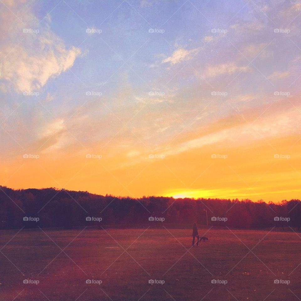 Strangers in the Light