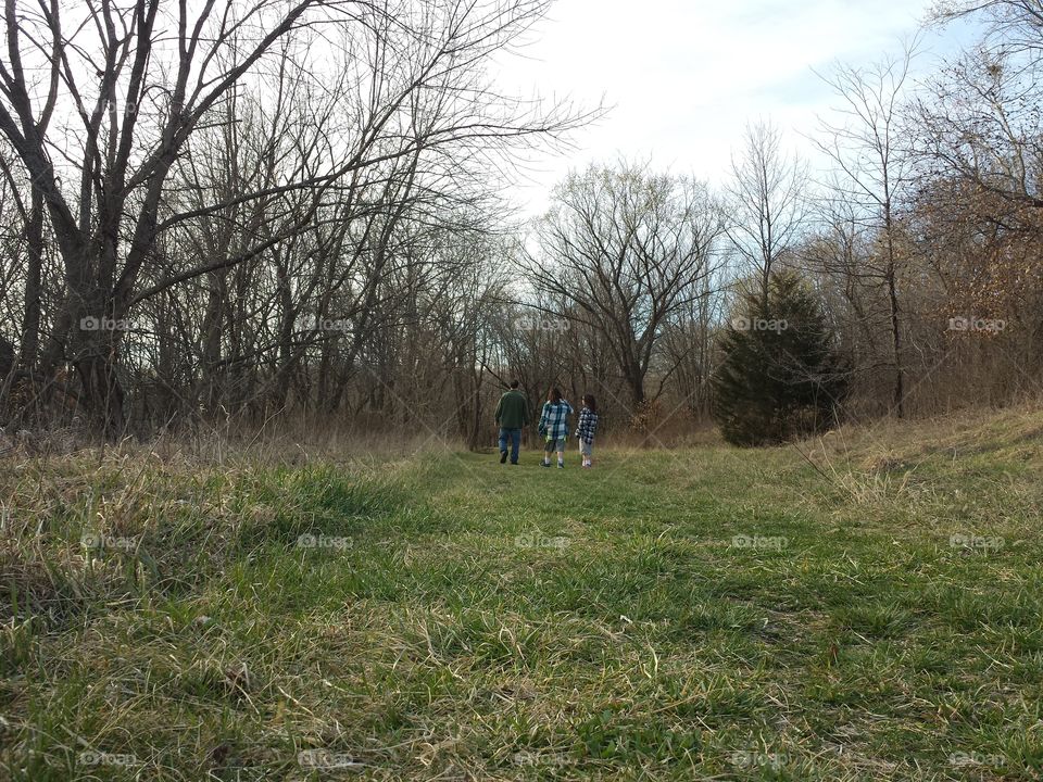 March Woodland Views