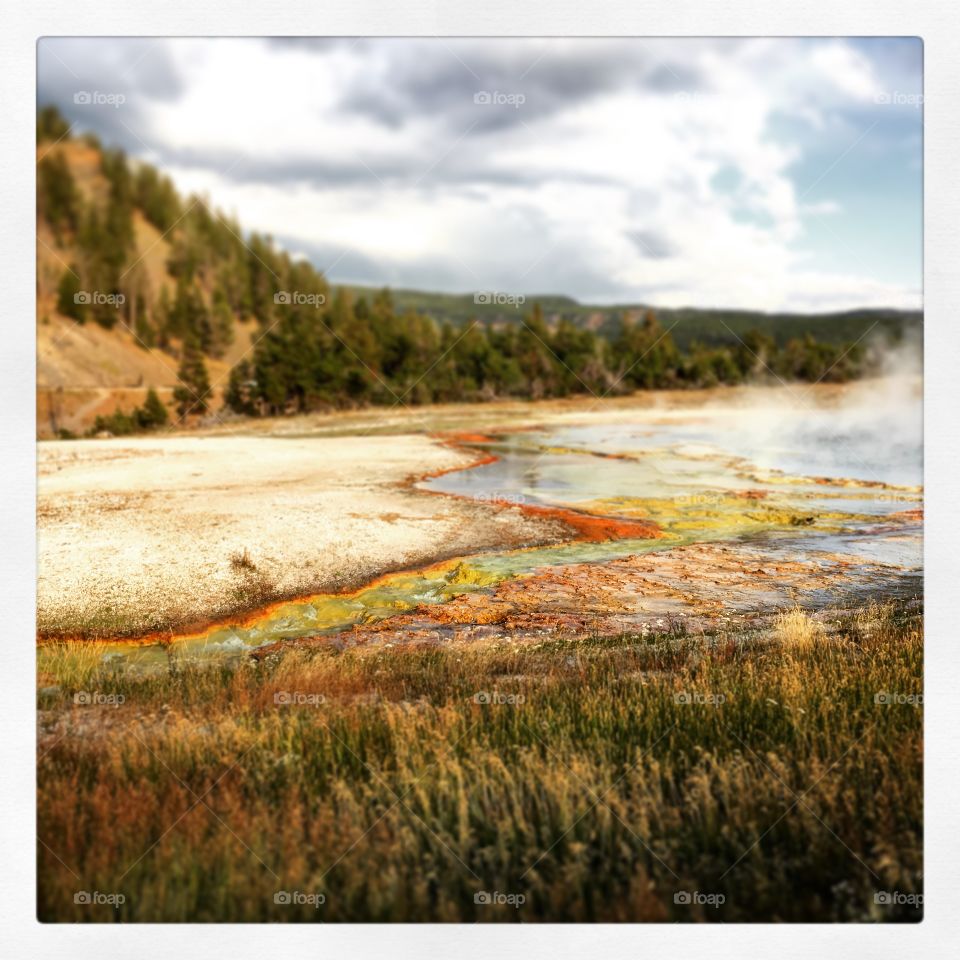 Yellowstone Water