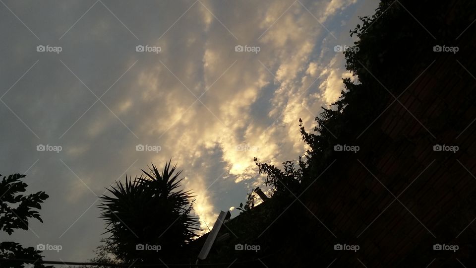 Sunset, No Person, Tree, Dawn, Sky