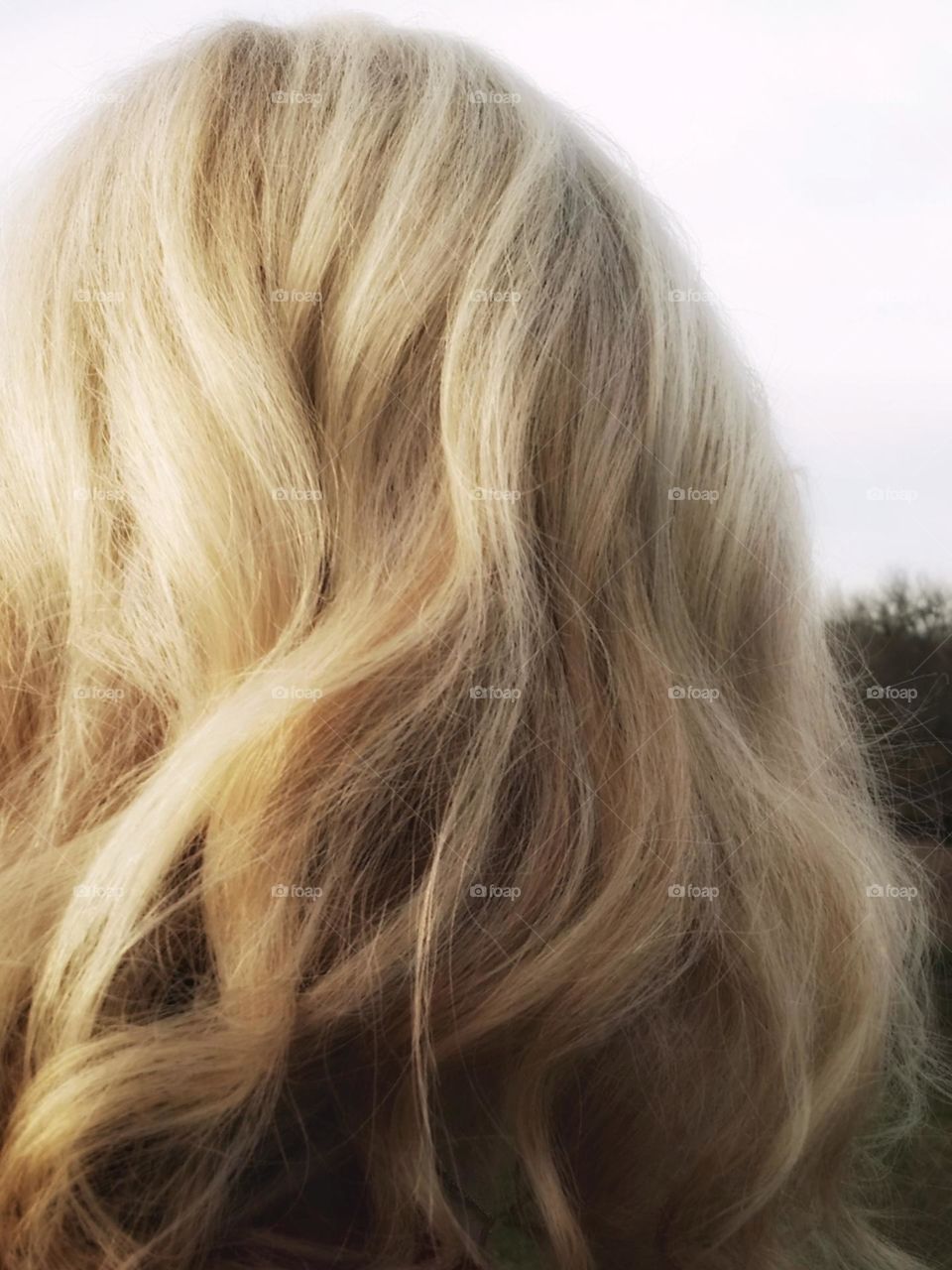 Blond hair in the sun close up of a woman