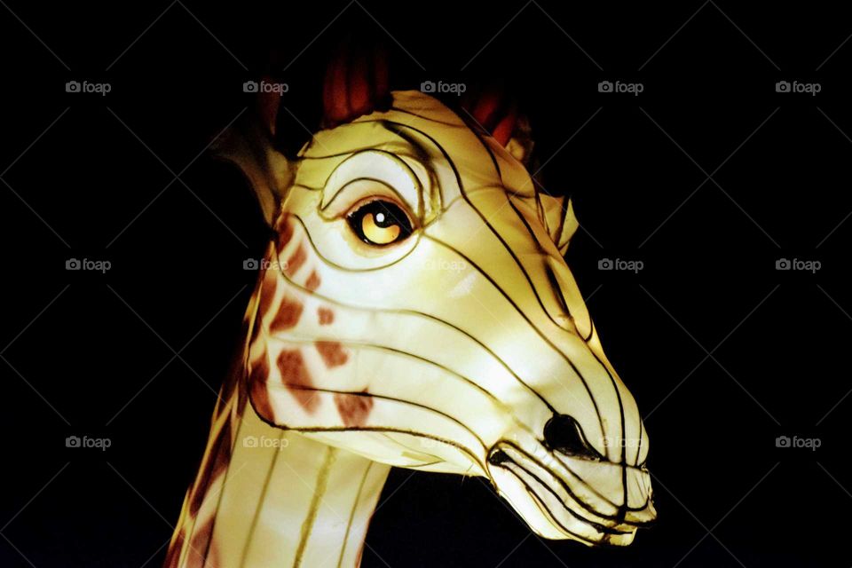 Giraffe Lantern
