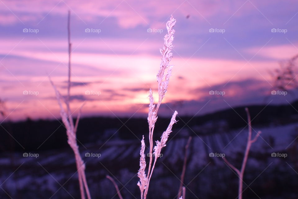 Nature, Sky, Winter, Snow, Sunset