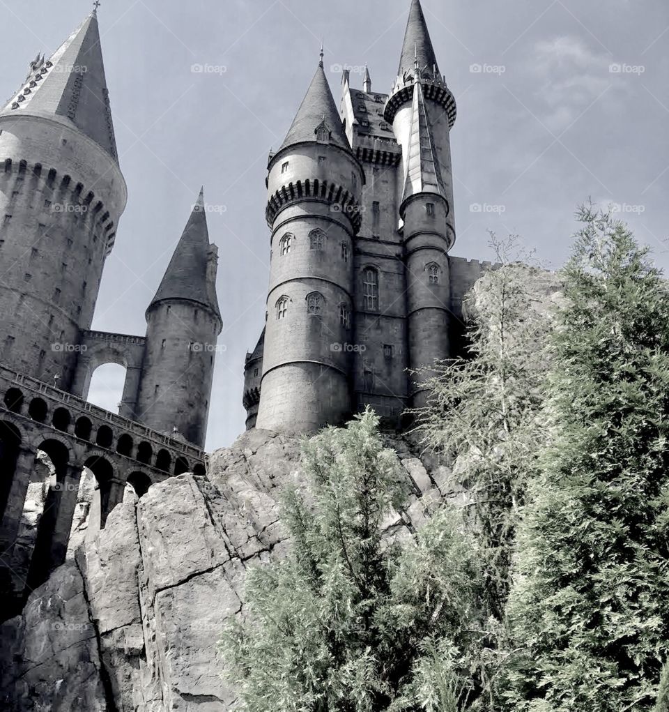 The Castle Of Magic