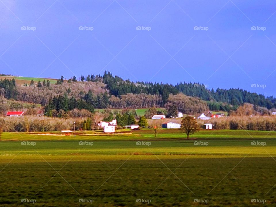 sunrise shinning on the Willamette Valley hillside