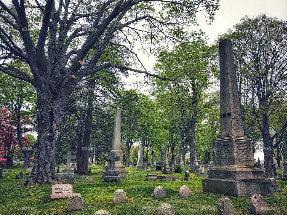 Mountain Grove Cemetery 