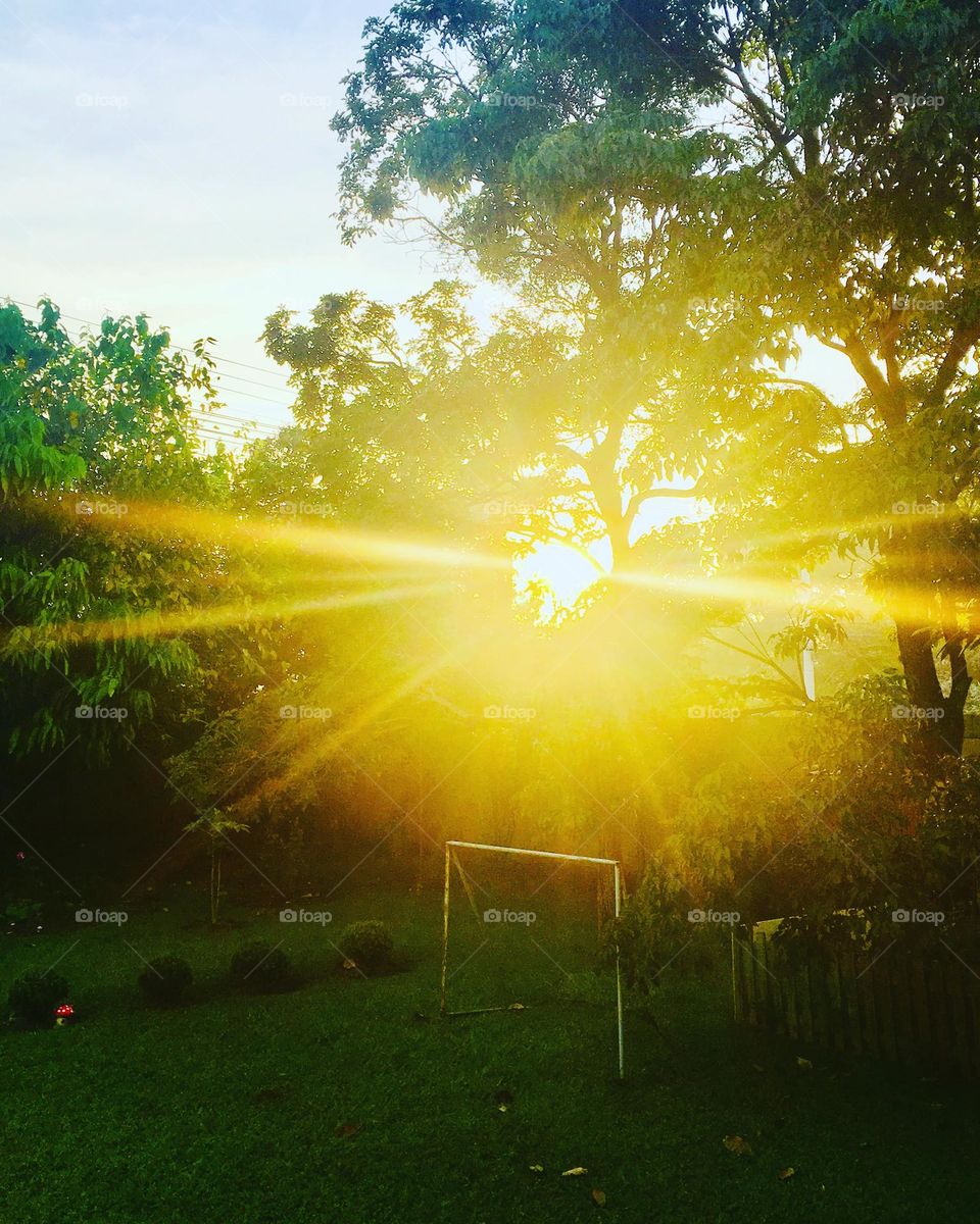 🇺🇸 An extremely yellow sky in Jundiaí, interior of Brazil. Cheer the nature! / 🇧🇷 Um céu extremamente amarelo em Jundiaí, interior do Brasil. Viva a natureza! 