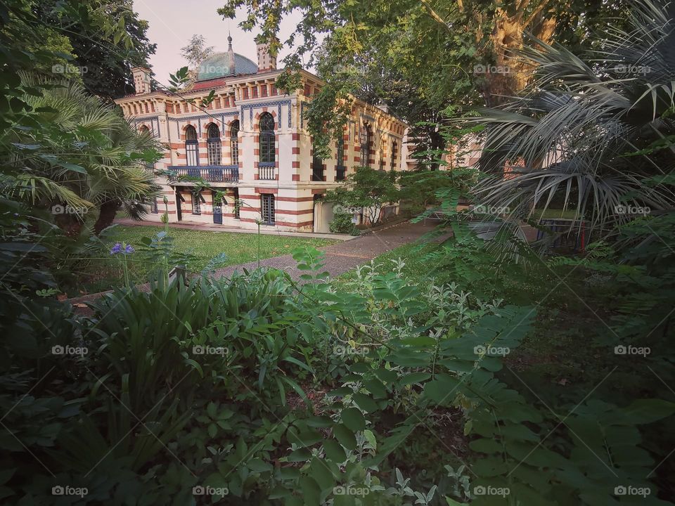 Musée Georges Labit