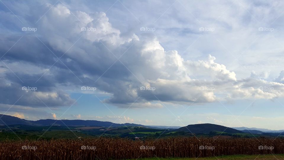 harvest corn with that view!