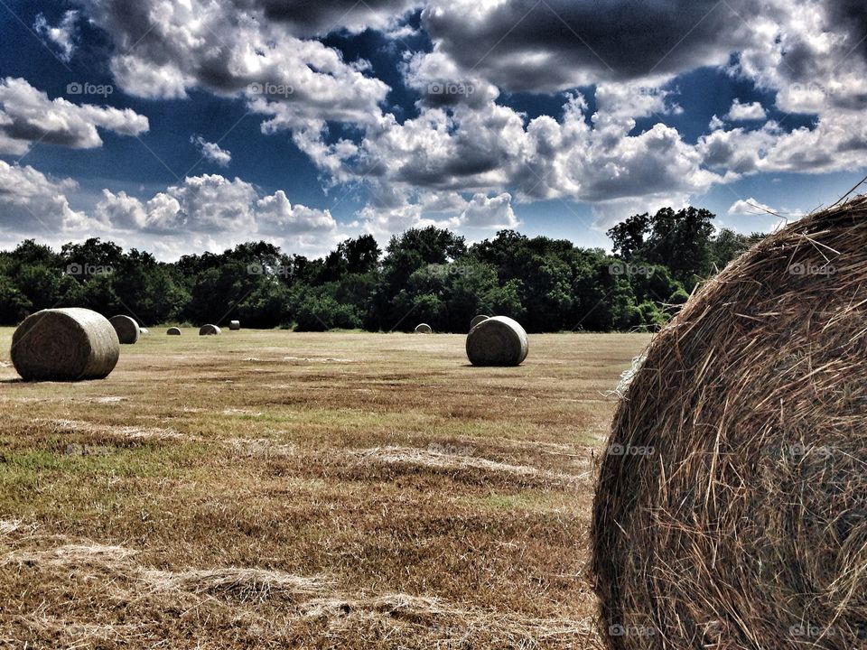 A hard day's work. Baled of hay in a field 